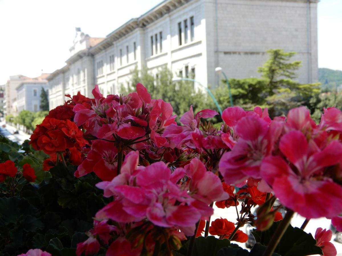 Bed and Breakfast Luciano And Son Campobasso Exterior foto